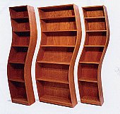 Tom Schneider - Curvaceous Shelving Units
